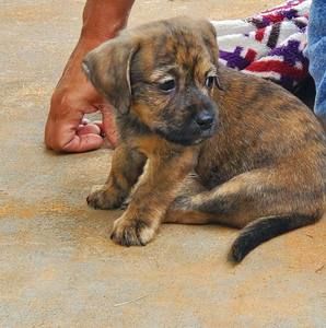 Meet your Posher, Cheryl